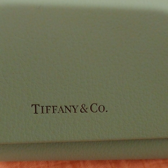 Tiffany & Co. Aqua Women's Eye Glass Case - Picture 2 of 8